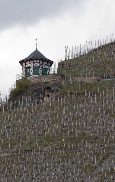 Weingut & Gaestehaus Schmitz-Bergweiler Commune fusionnée de Commune fusionnée de Bernkastel-Kues Extérieur photo